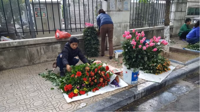 Hoa tươi đang tăng giá mạnh.