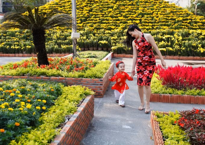 Mùng 2 Tết, cả 3 miền thời tiết ấm áp, thuận lợi cho người dân đi chúc Tết, vui Xuân. Ảnh minh họa
