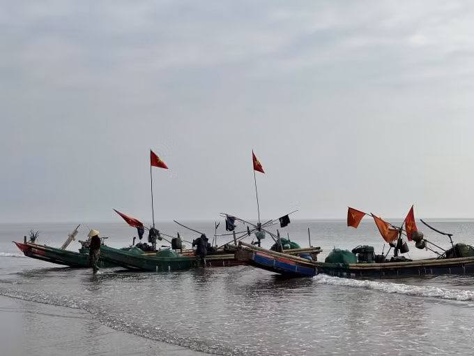 Chỉ có khoảng hơn hai chục bè mảng trên tổng số 300 chiếc ở xã Hoằng Thanh ra khơi lấy may vào ngày mùng 2 Tết. Ảnh: QD