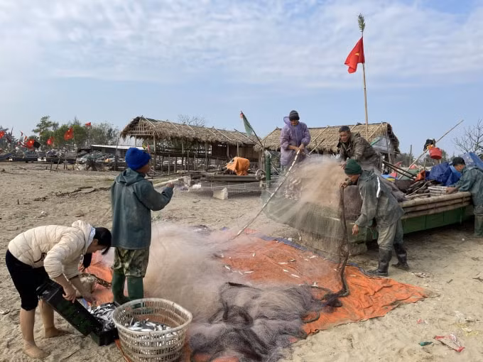 Theo quan niệm của ngư dân Hải Tiến, chọn ngày đẹp (ngày mùng 2 Tết) ra khơi để lấy may. Ảnh: Quang Duy
