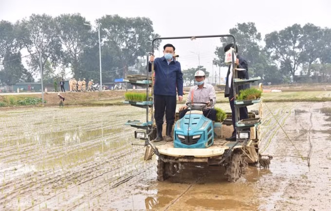 Bí thư Thành ủy Vương Đình Huệ đứng máy cấy, động viên nông dân xã Dị Nậu, huyện Thạch Thất sản xuất đầu năm (Ảnh: V.T)