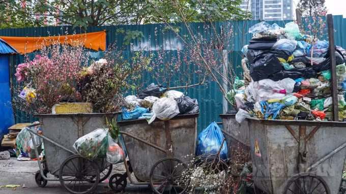 Những xe rác đầy ắp đào.