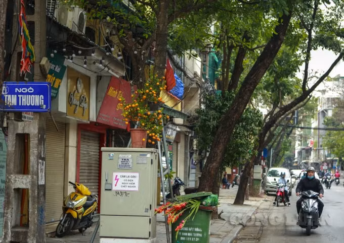 Nhiều người bê nguyên cả chậu cây quất để trên hộp điện áp, chờ xe rác qua lấy.