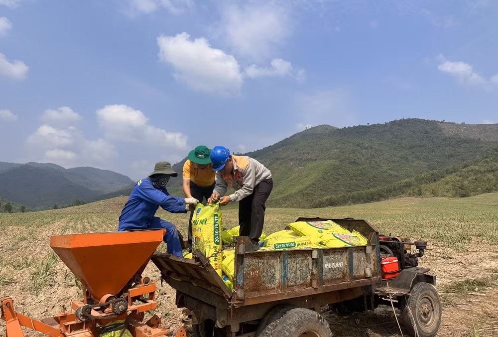Phân bón Phú Mỹ đã trở thành người bạn đồng hành cùng bà con nông dân trên mọi miền đất nước.