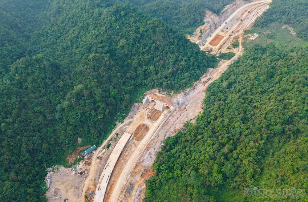 clo_br_cao-toc-dong-dang-tra-linh.jpg