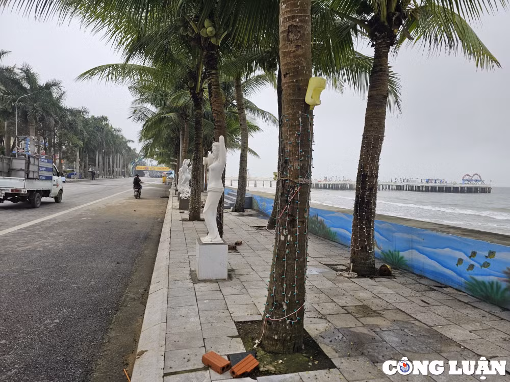canh quan nhech nhac tru gach dat chan loi di tai bien hai tien thanh hoa hinh 4
