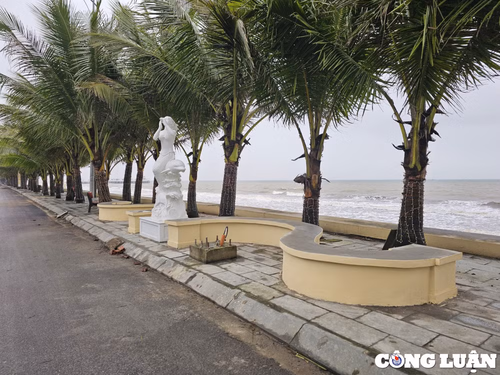 canh quan nhech nhac tru gach dat chan loi di tai bien hai tien thanh hoa hinh 5
