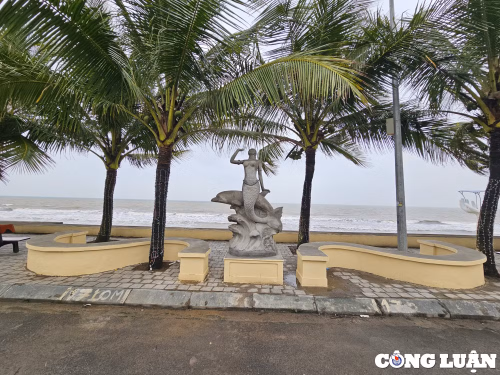 canh quan nhech nhac tru gach dat chan loi di tai bien hai tien thanh hoa hinh 1