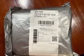 Ship COD hàng giả thu tiền thật, 2 thanh niên Phú Thọ bị khởi tố