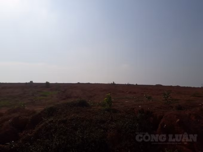 Đồi Ba Cây bị cạo trọc.