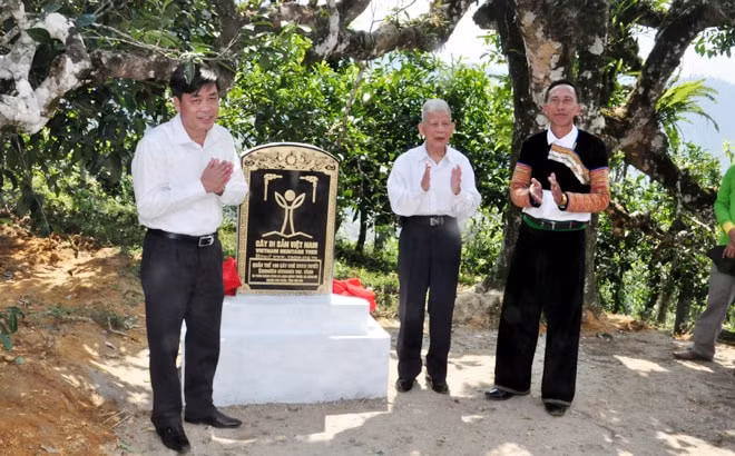 Giáo sư, tiến sỹ khoa học Đặng Huy Bình - Phó Chủ tịch Hội Bảo vệ thiên nhiên và môi trường Việt Nam, Chủ tịch Hội đồng Cây di sản Việt Nam trao Quyết định và Bằng công nhận quần thể Cây Di sản Việt Nam chè Shan tuyết cho xã Sùng Đô, huyện Văn Chấn. Ảnh: Báo YB.