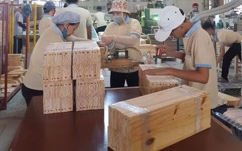 my dieu tra tu go nhap tu viet nam vi su dung bo phan cua trung quoc hinh 1