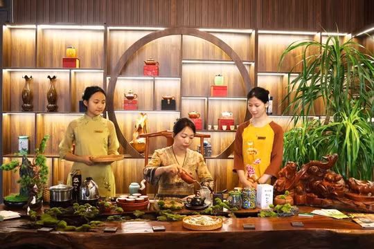 Thái Nguyên đề nghị ghi danh tri thức dân gian về văn hóa trà là di sản quốc gia 