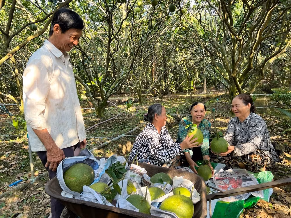phan bon ca mau thang lon 6 thang dau nam nho dau hinh 2