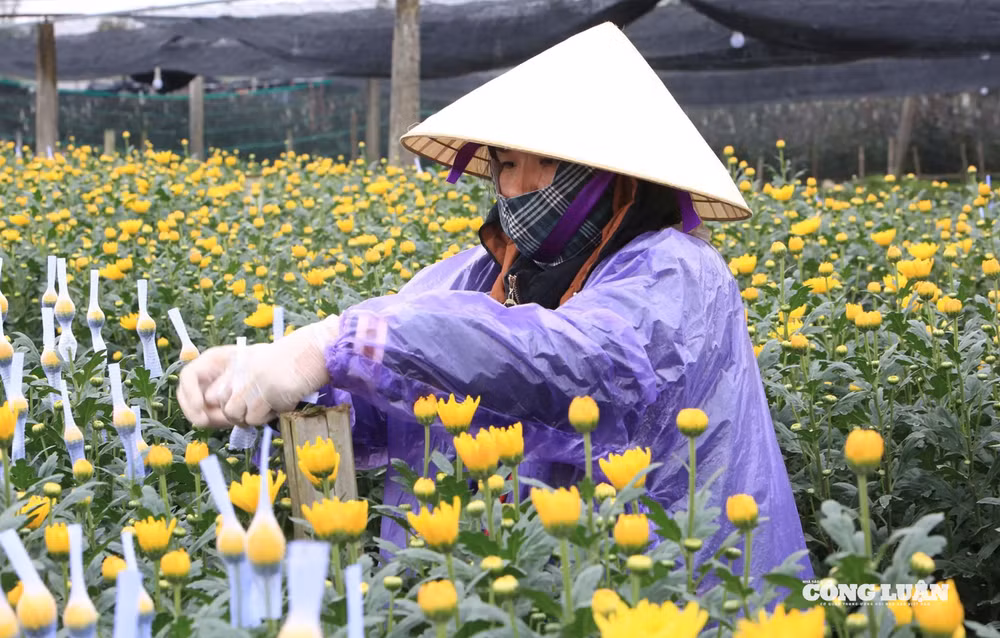 Ảnh chụp Màn hình 2026-01-26 lúc 09.09.14