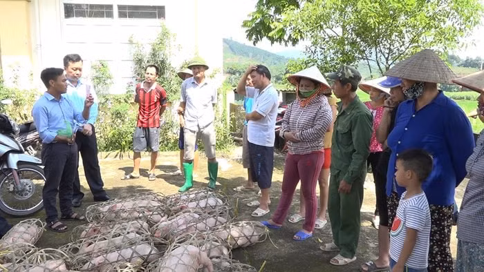 quang ninh 9 noi dung phoi hop nang cao doi song dong bao vung dan toc thieu so hinh 1