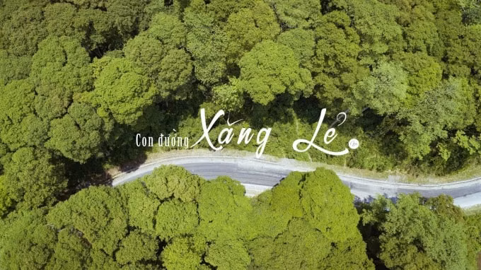 Con đường đi xuyên qua rừng săng lẻ (hay xăng lẻ theo tiếng địa phương) đẹp không thua kém các thước phim quay nơi trời Tây.