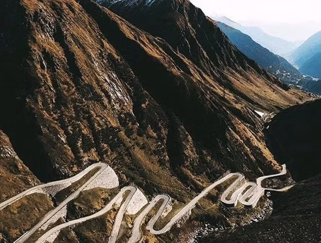 zo_5