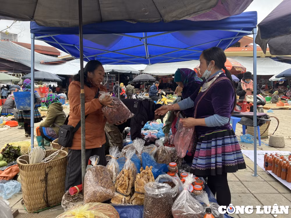 lao cai day manh phat trien du lich nong thon hinh 5