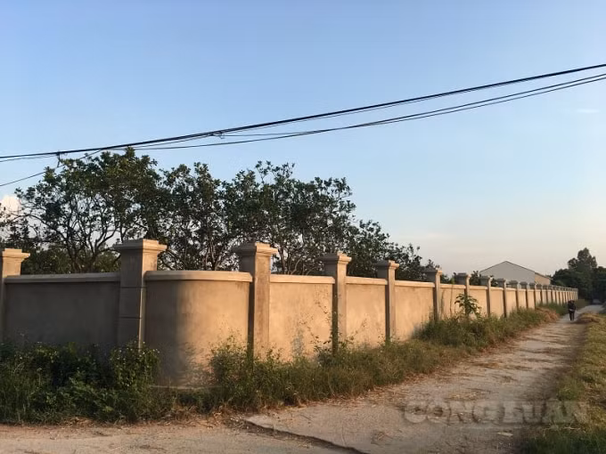 Hộ ông Phạm Toàn Thắng đã cho xây dựng tường bao kiên cố xung quanh để tiện che giấu xây dựng nhà xưởng bên trong.