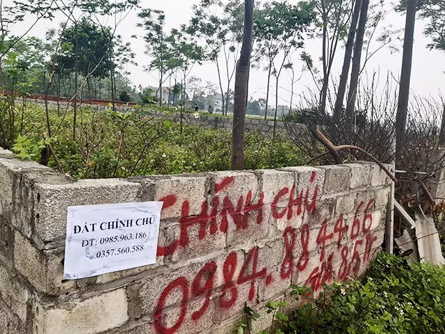 Tờ rơi giao dịch đất đai được dán ở nhiều nơi.