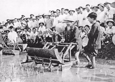dan van kheo thi viec gi cung thanh cong hinh 2