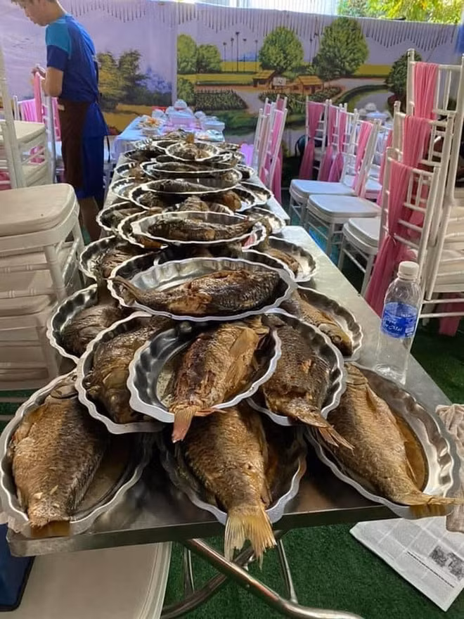cá cứoi