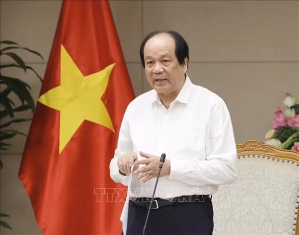 Bộ trưởng, Chủ nhiệm Văn phòng Chính phủ Mai Tiến Dũng, Tổ trưởng Tổ công tác của Thủ tướng Chính phủ phát biểu. Ảnh: TTXVN