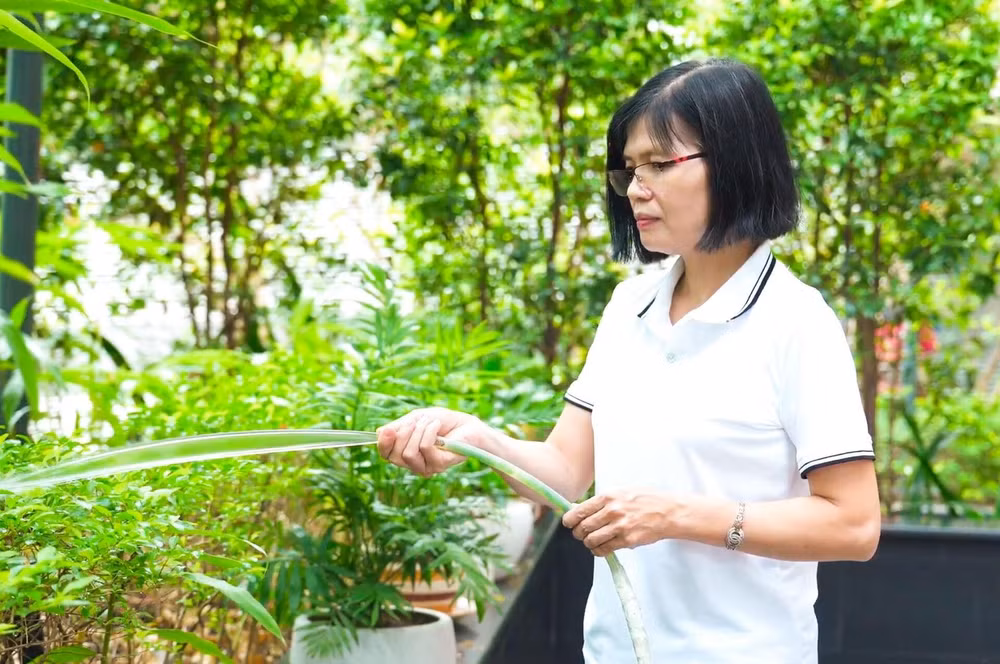 ky tich on dinh duong huyet cau chuyen co that cua co hoa thai nguyen hinh 3