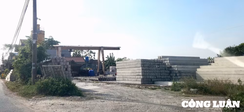 Trạm sản xuất cọc bê tông đã sản xuất và tập kết khối lượng lớn cọc bê tông tại khu đất của Công ty CP Tổng công ty Giống cây trồng con nuôi Ninh Bình (Ảnh: Minh Thiên).