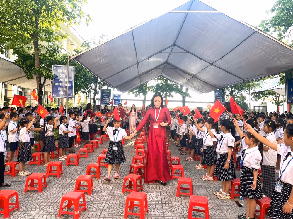 hoa sơn 2