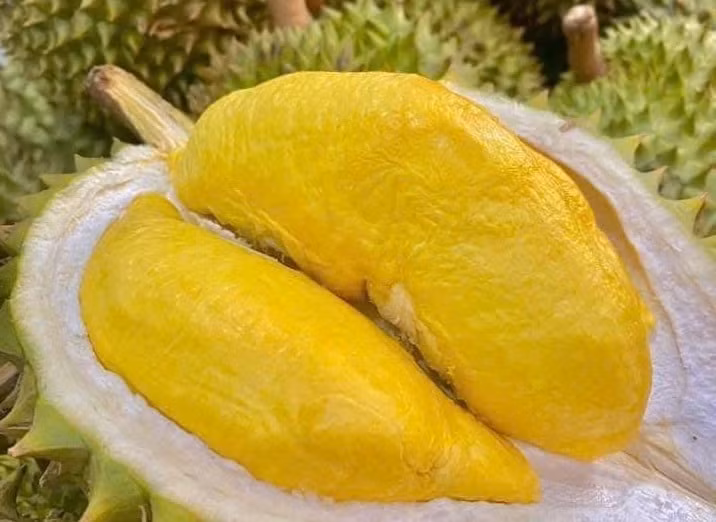 Giá sầu riêng hôm nay 7/9: duy trì ổn định