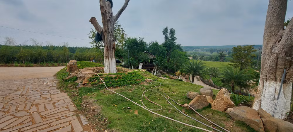 kon tum trang trai khung moc sung sung tren dat nong nghiep hinh 3