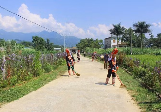 suc bat moi o dai dat bien cuong quang ninh hinh 3