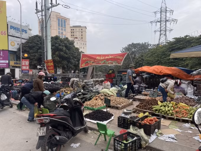 nong san cho giai cuu nam la liet tren via he ha noi cua dau con xot hinh 10