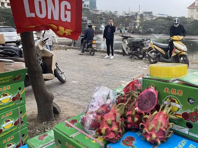 nong san cho giai cuu nam la liet tren via he ha noi cua dau con xot hinh 9
