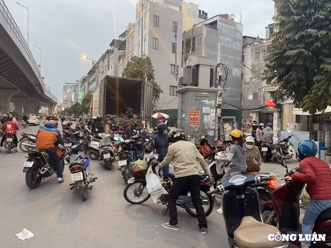 nong san cho giai cuu nam la liet tren via he ha noi cua dau con xot hinh 4