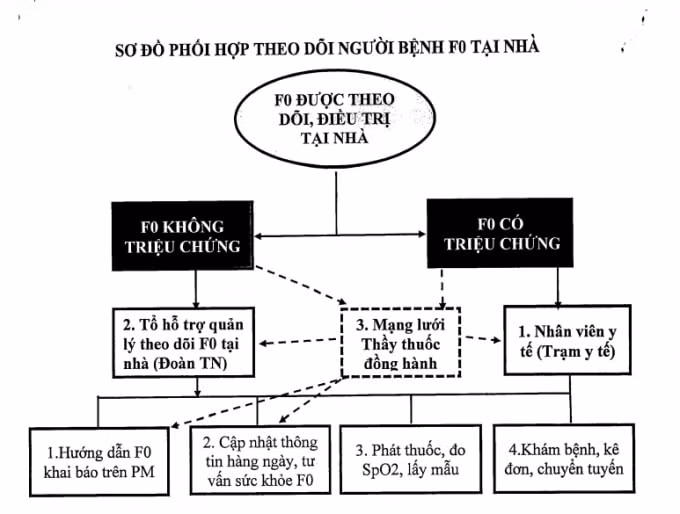 ha noi huong dan phoi hop quan ly theo doi f0 tai nha hinh 2