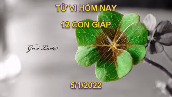 tu vi hom nay 5 1 2022 thu 4 ngay 3 12 am lich cua 12 con giap hinh 1