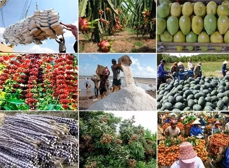 kinh te viet nam 2021 phep thu ban linh va gio da dao chieu hinh 2