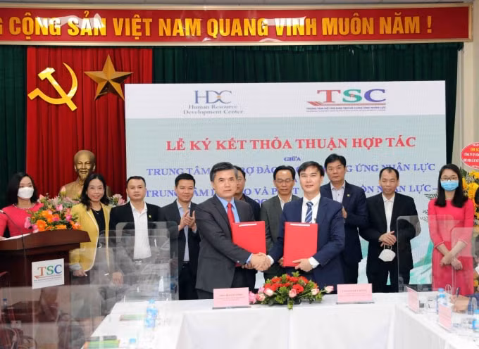 hop tac thuc day nang cao nguon nhan luc chat chat luong cao hinh 1
