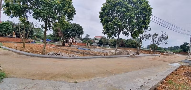 dat nen hoa lac nhieu co dat so xanh mat khi nhan giao dich hinh 1