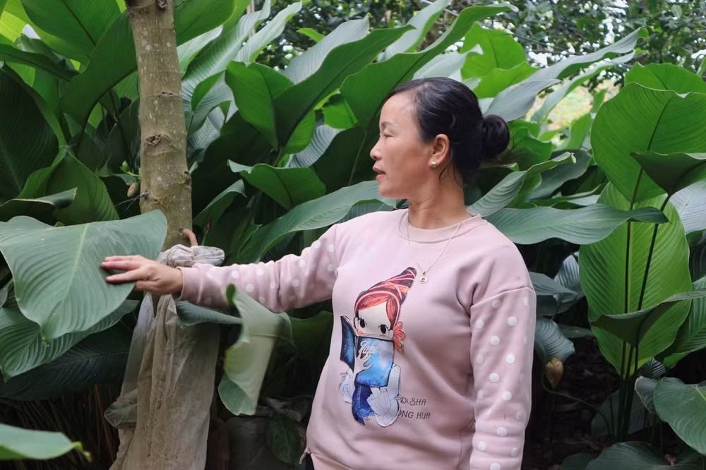 la dong trang cat vao chinh vu nong dan tat bat nhung ngay can tet hinh 5
