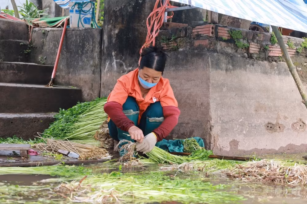 lang rau can thai binh don tet duoi ao hinh 3