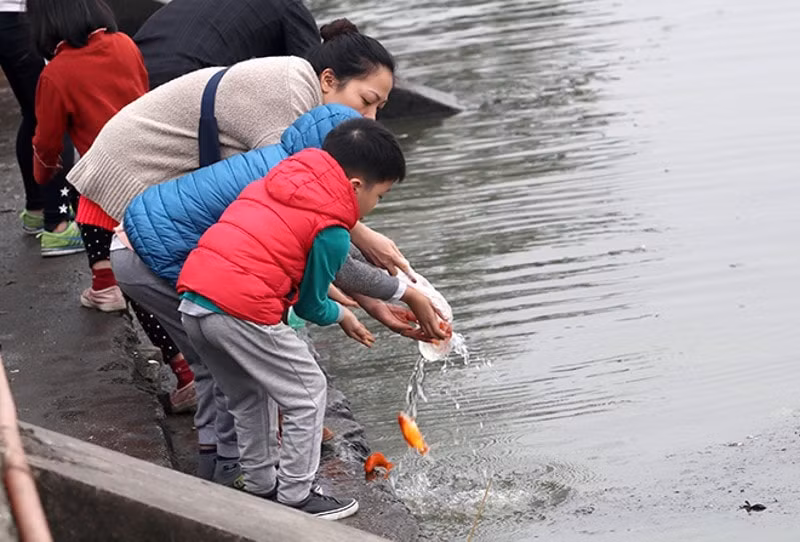 cach chuan bi mam cung ong cong ong tao de may man ca nam hinh 2