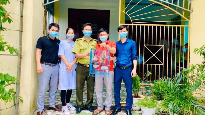 Gia đình ông Bùi Văn Liêm (xã Kỳ Văn, huyện Kỳ Anh) bàn giao một cá thể cu li nhỏ