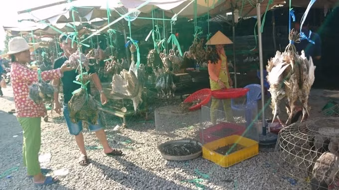 Chợ Thạch Hóa: “Địa ngục” của động vật hoang dã.
