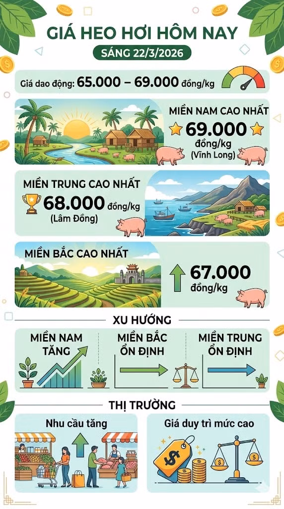giaheohoi223.jpg