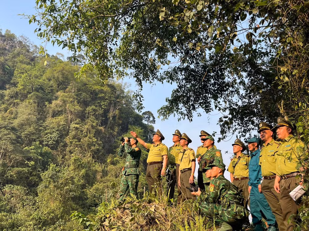 Ảnh đại diện tuần rừng Hạt kiểm lâm khu vực XVI