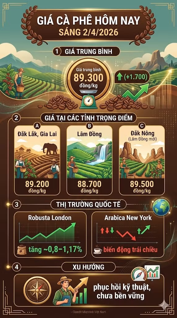giacaphe24.jpg